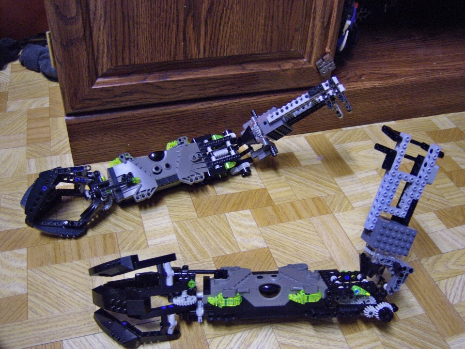 skelton-arms3.jpg
