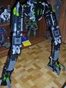 leg-skeleton2.jpg