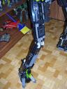 leg-skelton.jpg