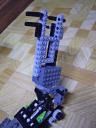 skelton-arms1.jpg