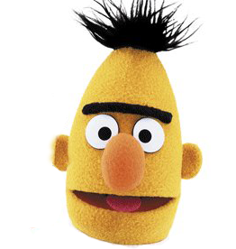 bert.png