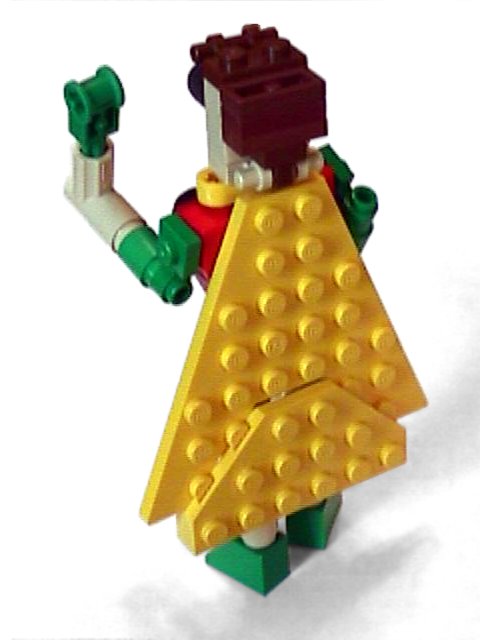robin-2.jpg