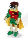 robin-1.jpg