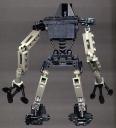 3.onua-back-view.jpg