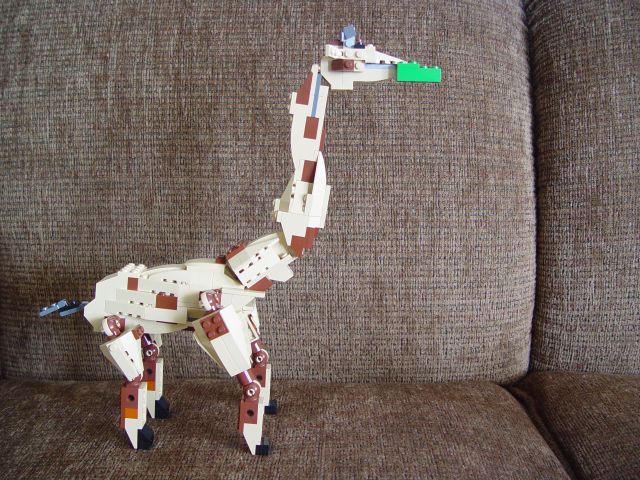 giraffe01.jpg