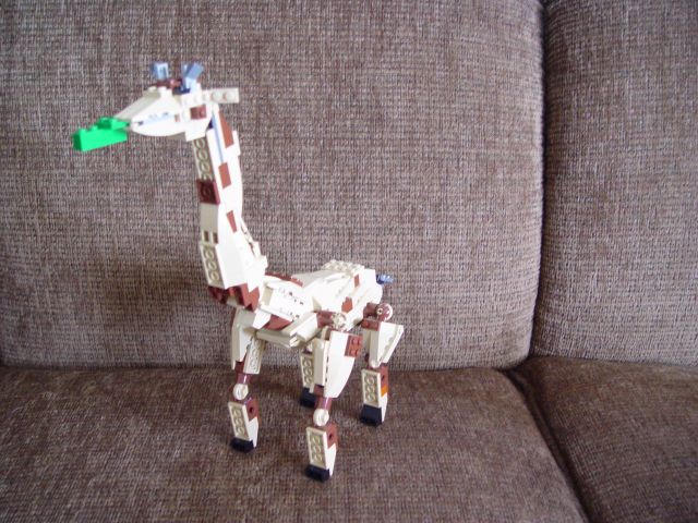 giraffe02.jpg