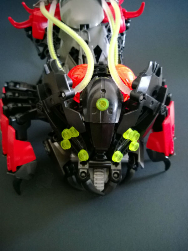 spider02.jpg.jpg