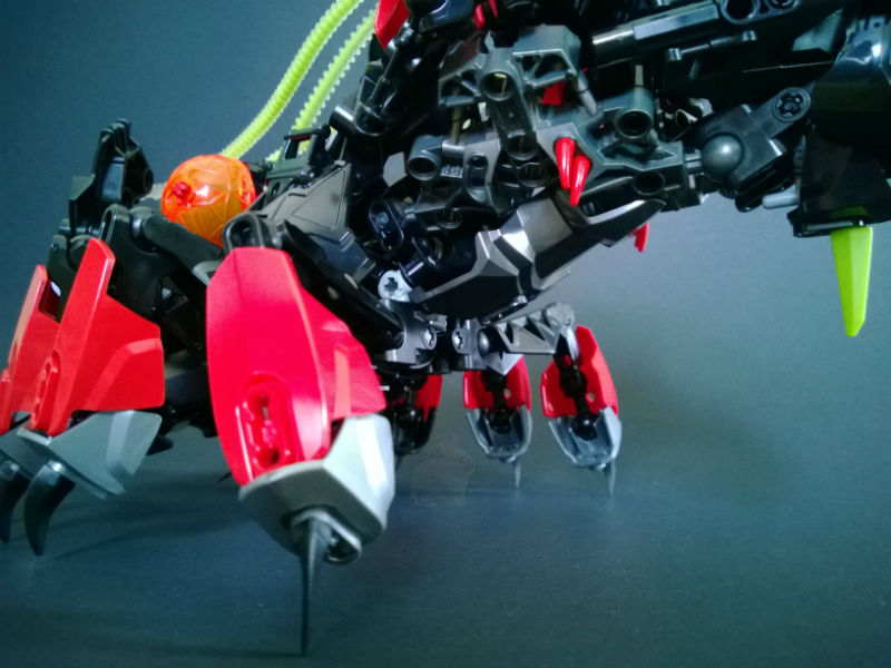 spider03.jpg.jpg