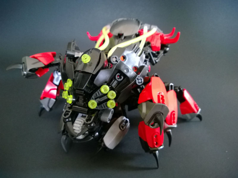 spider04.jpg.jpg