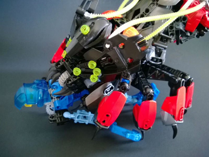 spider05.jpg