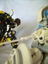 battle06.jpg