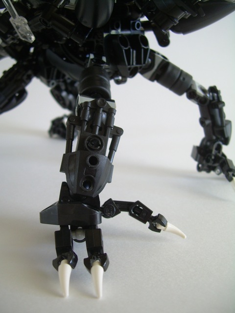 appendage02.jpg