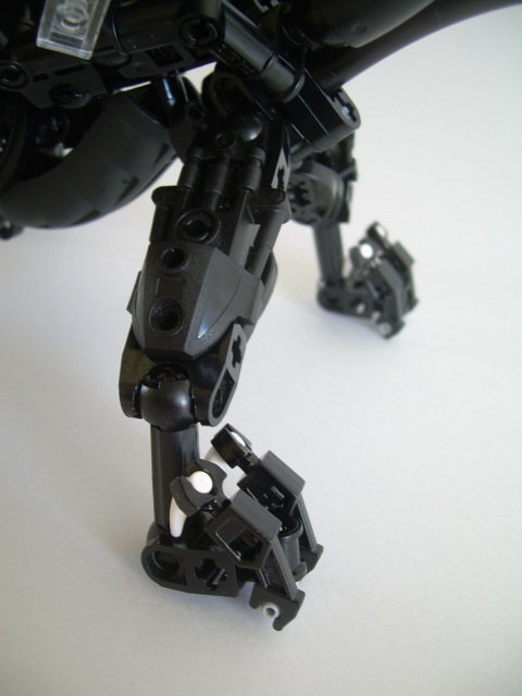 appendage03.jpg