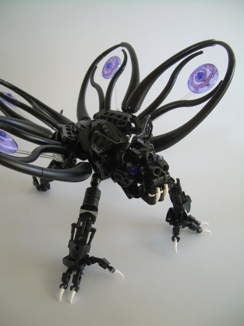 full02.jpg