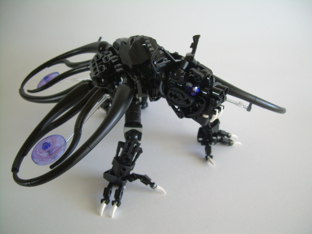 full05.jpg