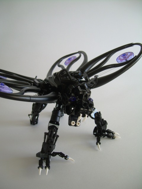 full07.jpg