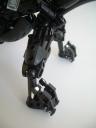 appendage03.jpg