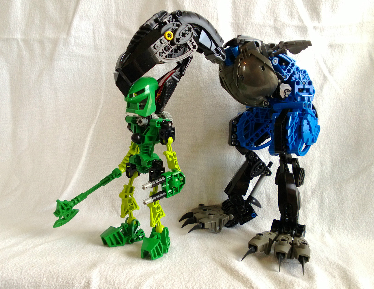 terrorbird5.jpg