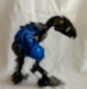 terrorbird2.jpg