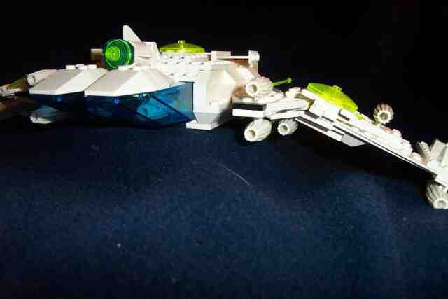 albatross06.jpg