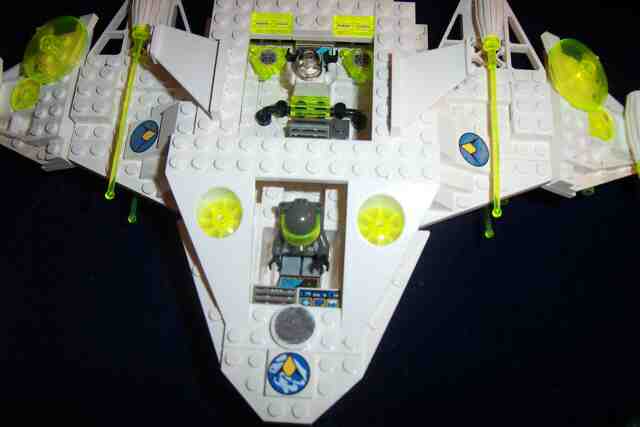 albatross07.jpg