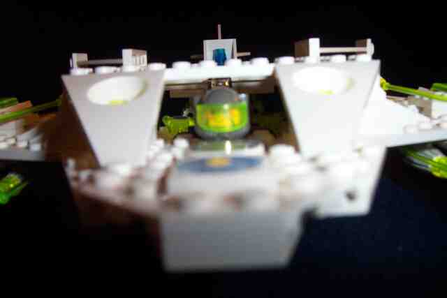 albatross08.jpg