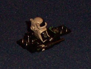 argus06.jpg