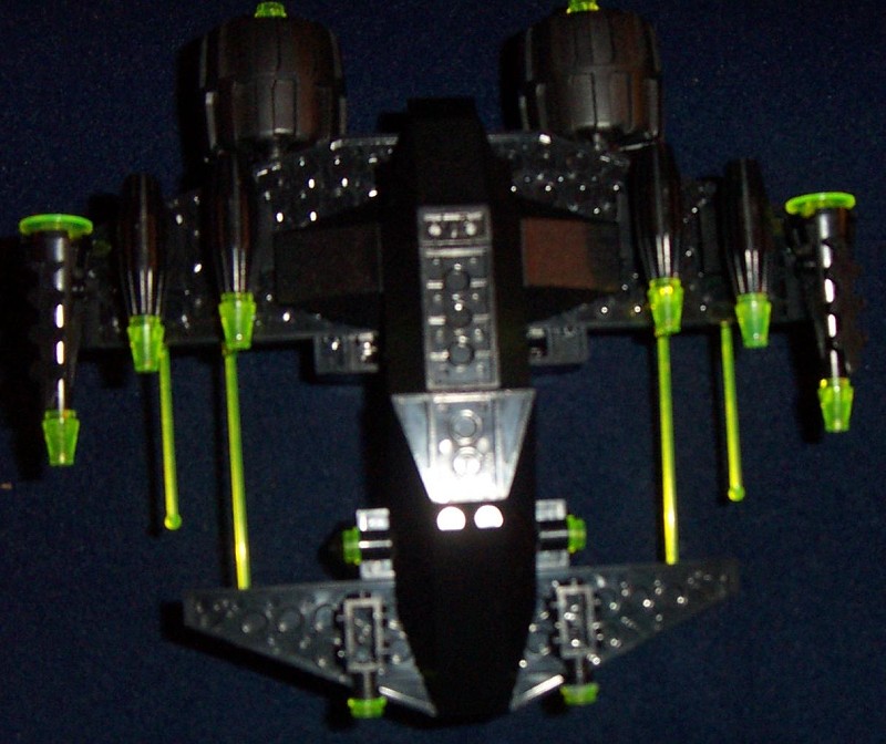 cheetah5.jpg