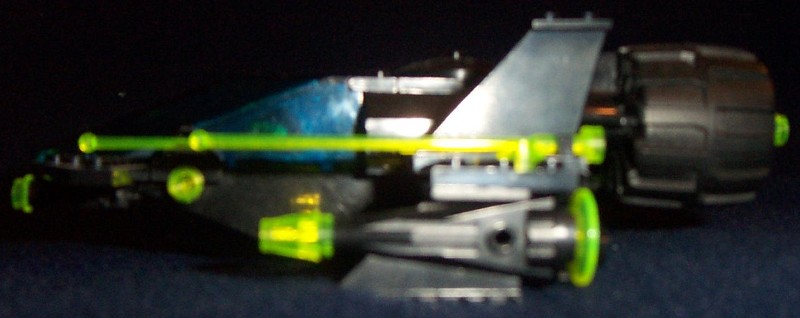 cheetah6.jpg