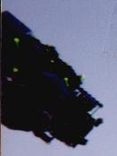 1piecefront1.jpg