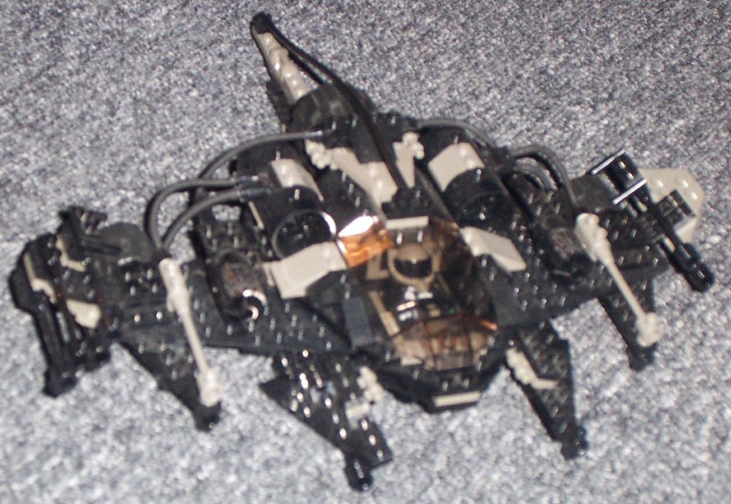 stingray1.jpg