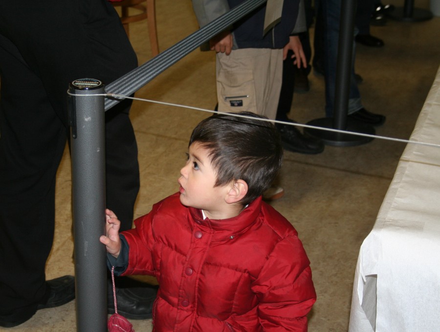 fencetoohigh.jpg