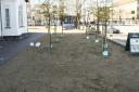 img_8614_klodsfest_2008.jpg