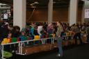 img_2943.jpg