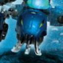 morak-avatar.jpg
