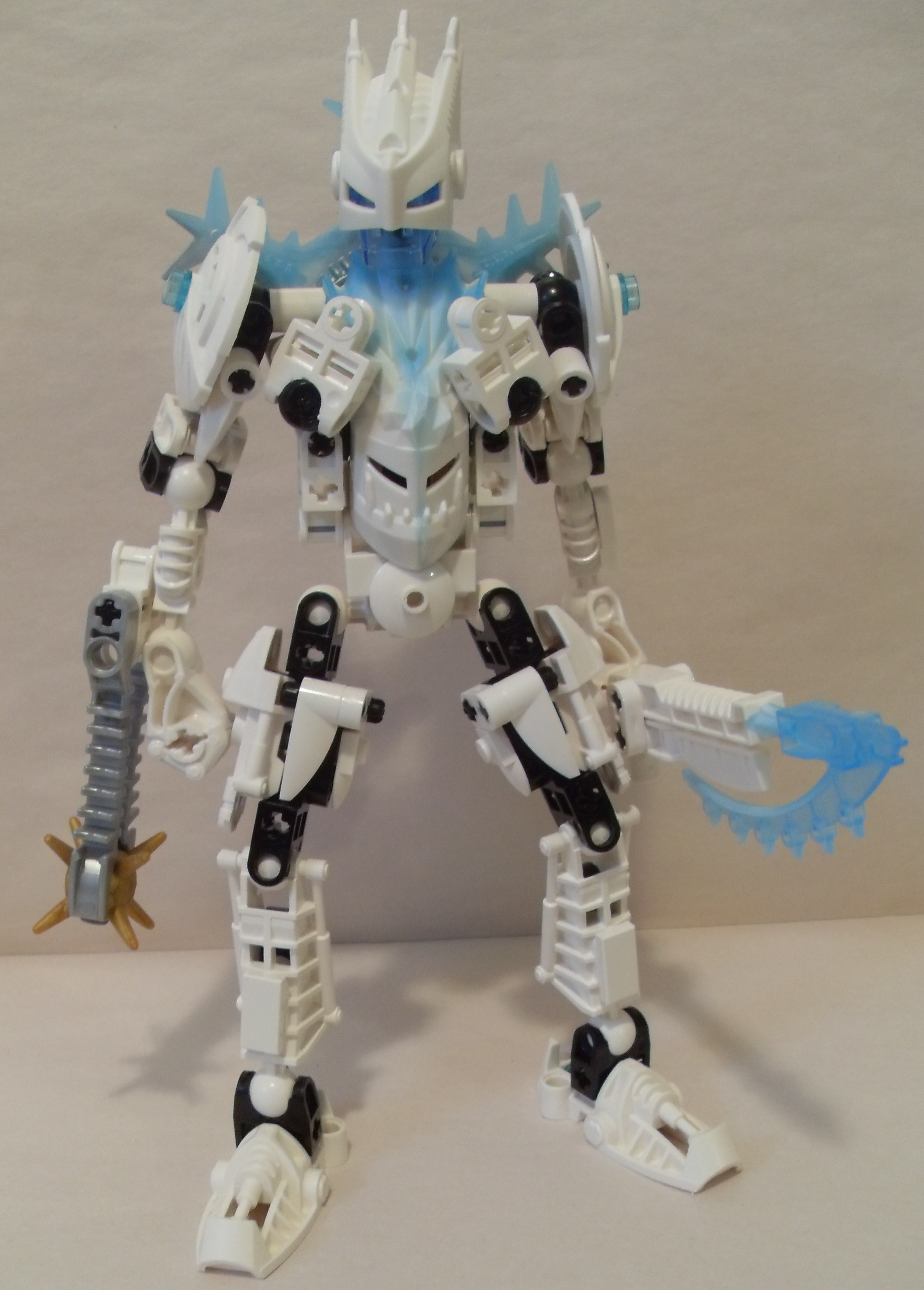 certavus_2.jpg