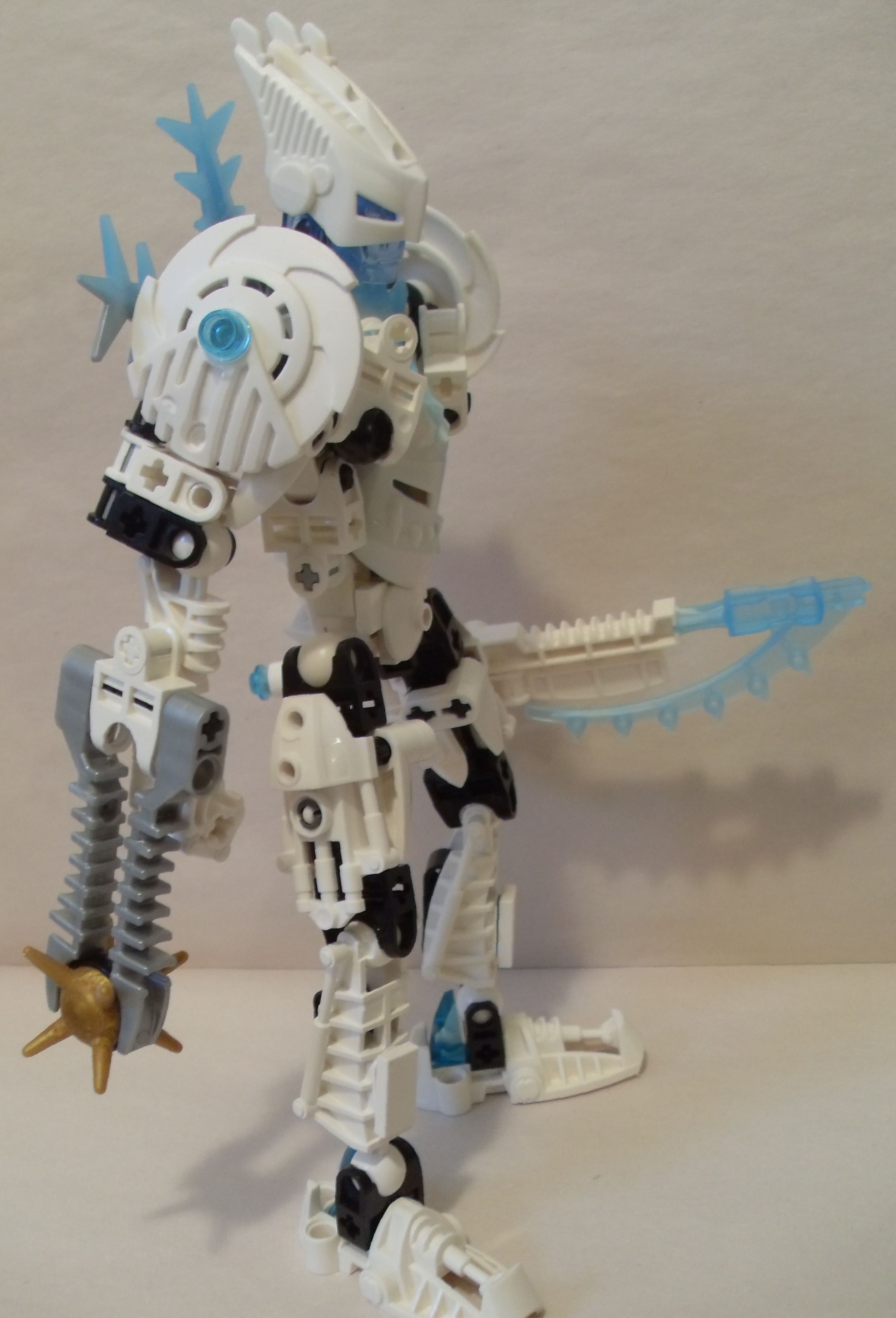 certavus_3.jpg