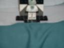 clones_005.jpg
