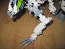 front_leg_or_arm_closeup.jpg