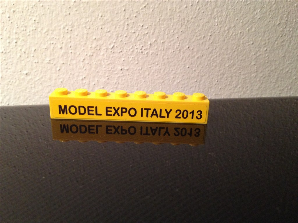 model_expo_2013.jpg