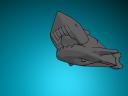 shark.jpg