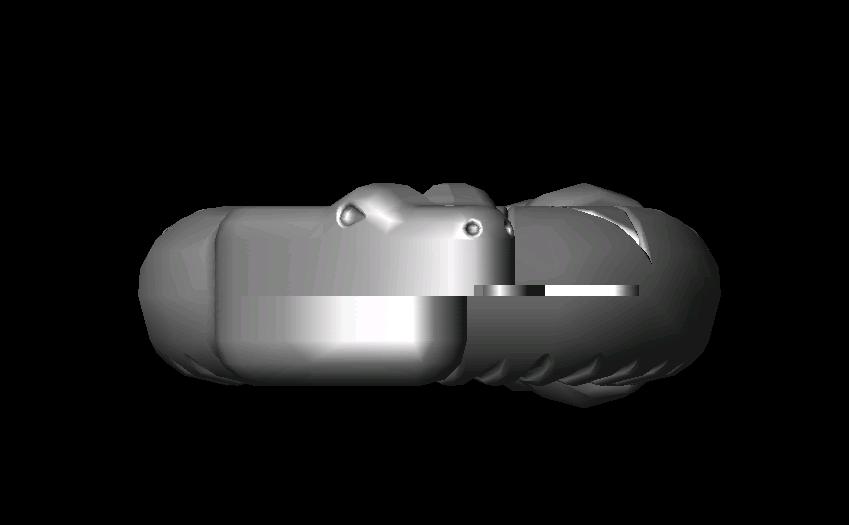 snakefront.jpg