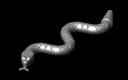 snake.jpg