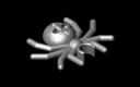 spider.jpg