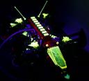 neon2-03.jpg