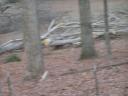 picture_006.jpg
