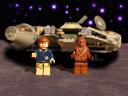falcon2.jpg