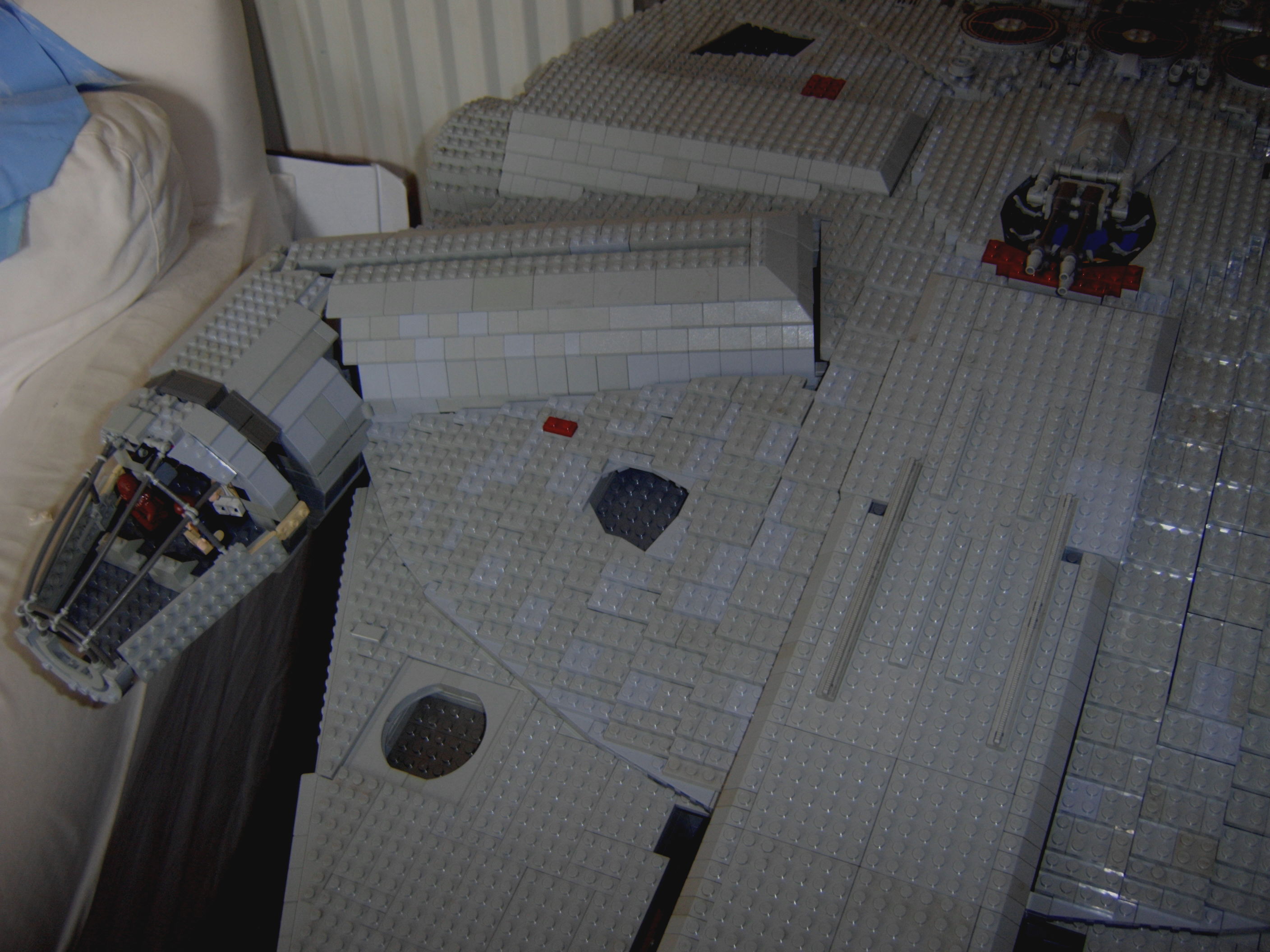 falcon2.jpg