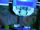 dscn0497.jpg