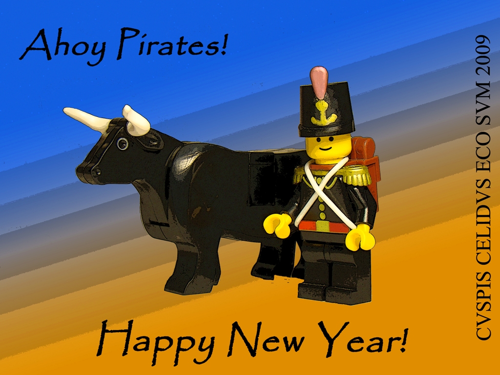 hnypirates2009-3.jpg